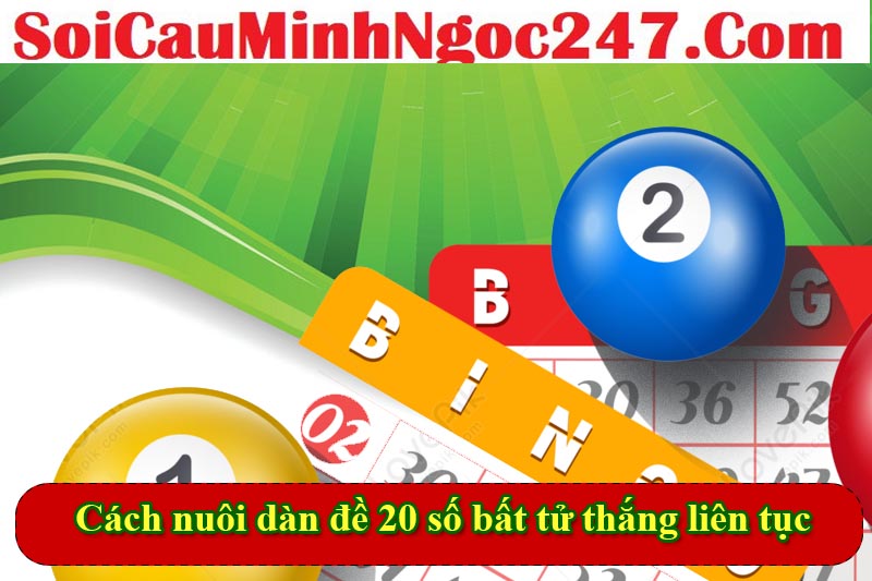 Cách nuôi dàn đề 20 số bất tử thắng liên tục