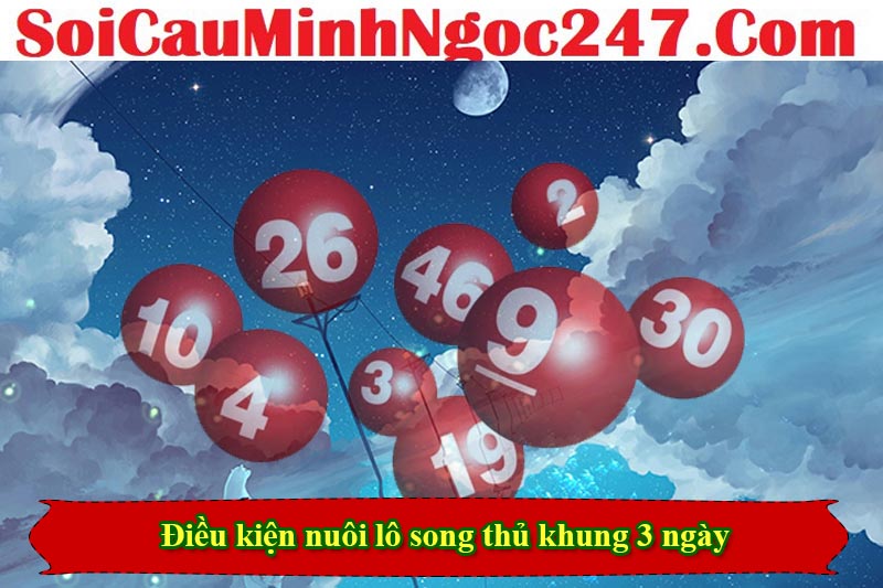 Điều kiện nào để nuôi lô song thủ khung 3 ngày