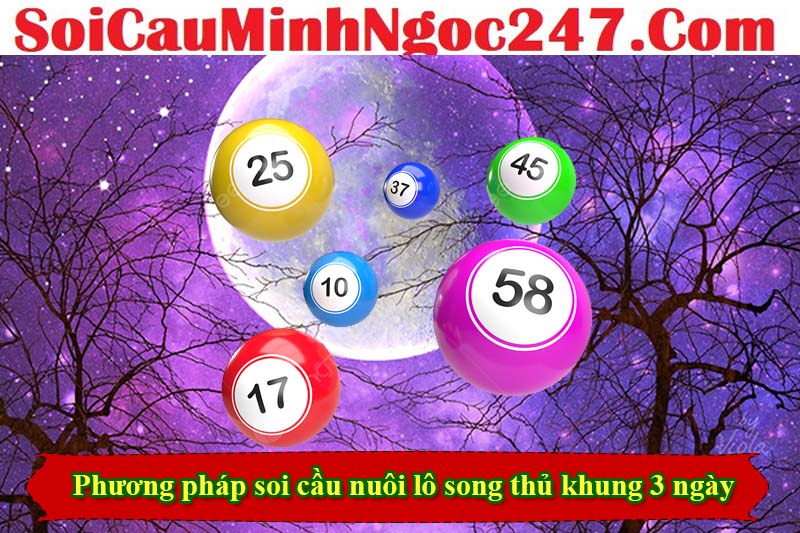 Soi cầu song thủ theo lô giải 7