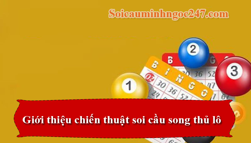 Giới thiệu chiến thuật soi cầu song thủ lô