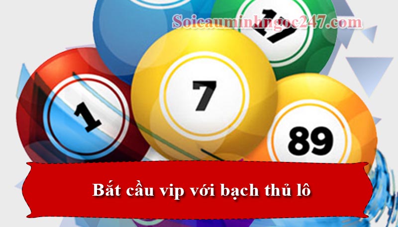 Bắt cầu vip với bạch thủ lô