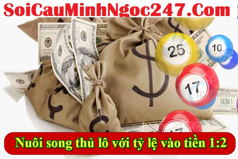 Nuôi song thủ lô với tỷ lệ vào tiền 1:2