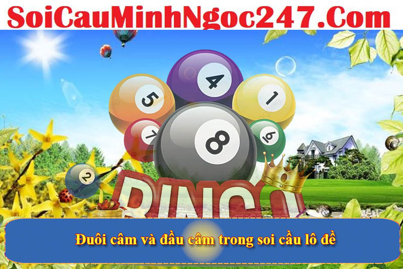 Đuôi câm và đầu câm trong soi cầu lô đề