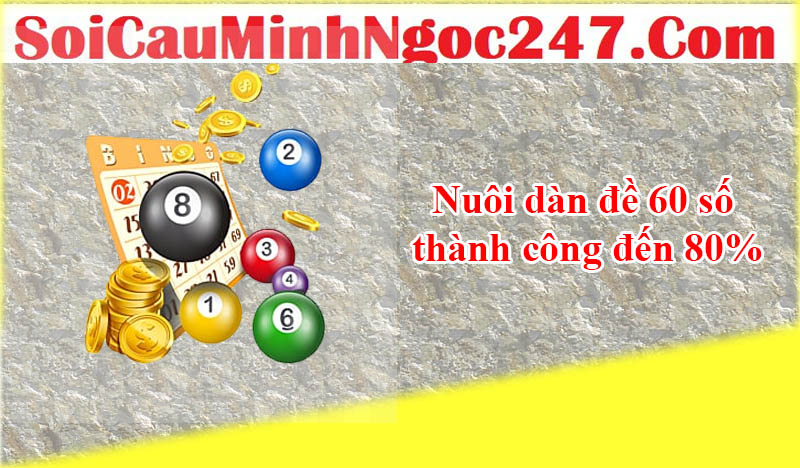 Nuôi dàn đề 60 số thành công đến 80%