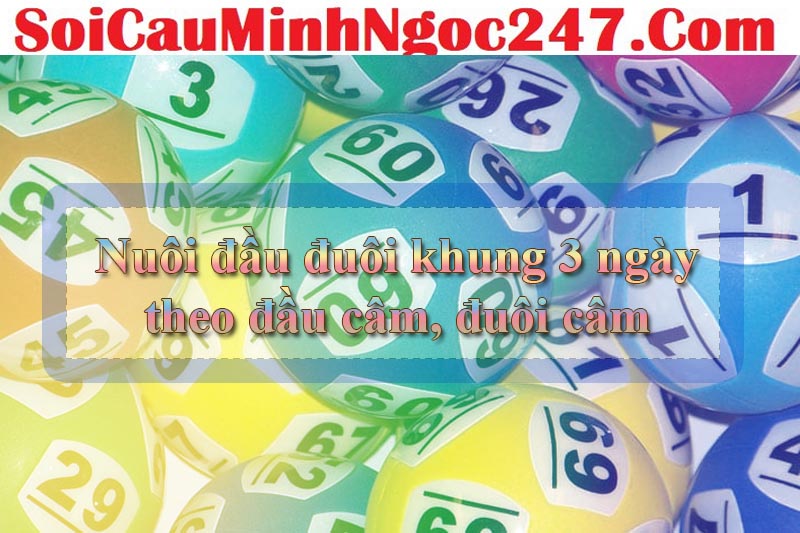 Cách nuôi đầu đuôi khung 3 ngày theo đầu câm, đuôi câm trúng lớn