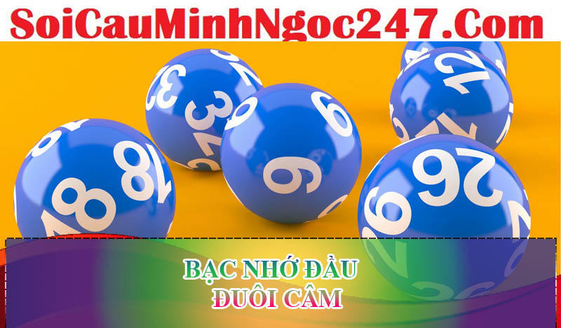 Bạc nhớ đầu – đuôi câm