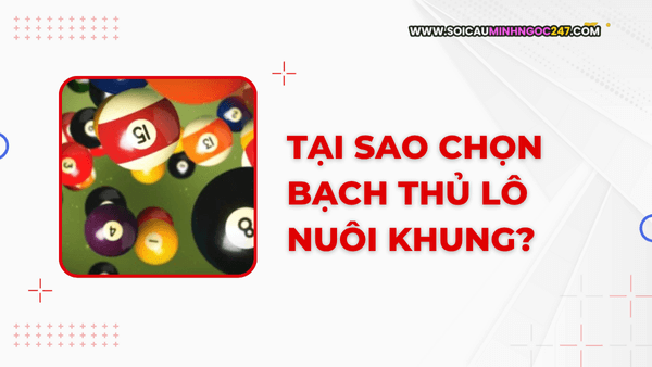 Tại sao chọn bạch thủ lô nuôi khung