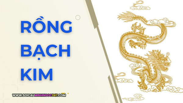 Rồng bạch kim