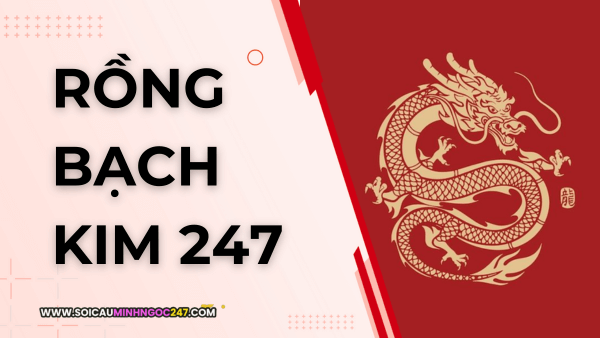 Soi cầu rồng bạch kim 247