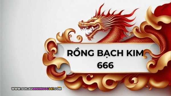 Rồng bạch kim 666