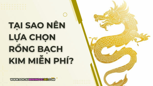 Tại sao nên lựa chọn rồng bạch kim miễn phí
