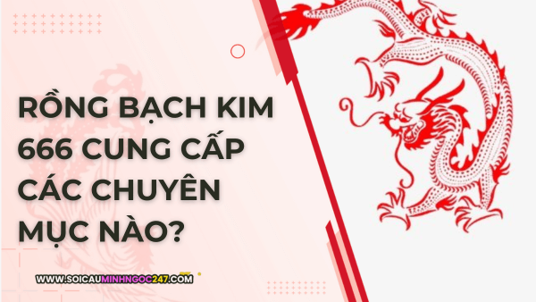 Rồng bạch kim 666 cung cấp các chuyên mục nào