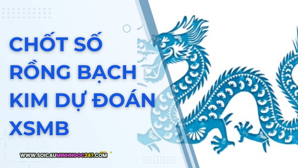 Hướng dẫn 3 bước chốt số rồng bạch kim