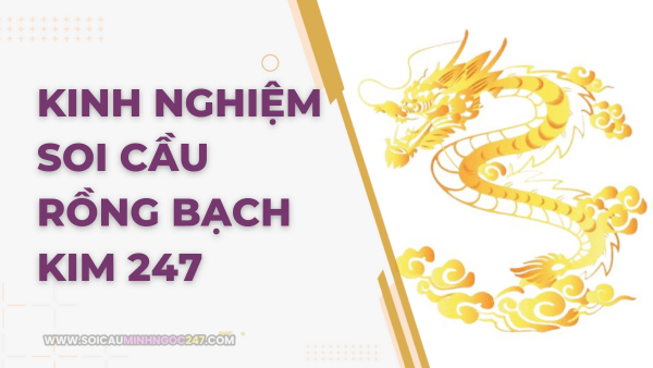 Kinh nghiệm soi cầu rồng bạch kim 247
