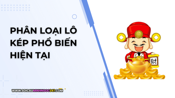 Phân loại lô kép phổ biến hiện tại