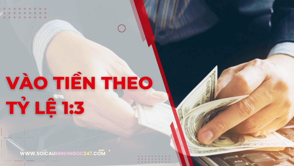 Vào tiền theo tỷ lệ 1:3