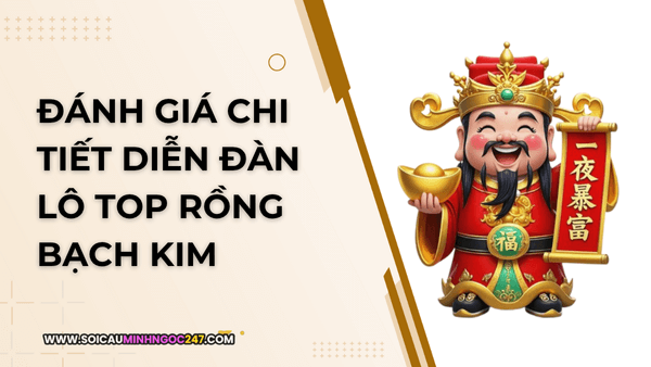 Đánh giá chi tiết diễn đàn lô top rồng bạch kim