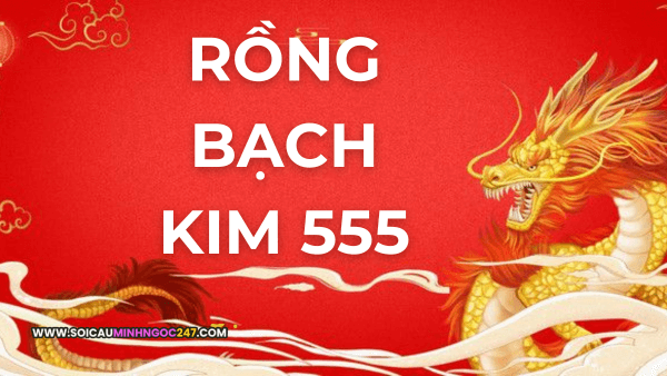 Rồng bạch kim 555