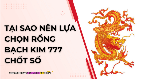 Tại sao nên lựa chọn rồng bạch kim 777