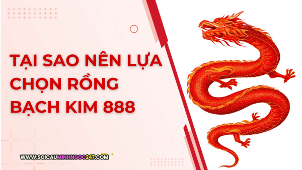 Soi cầu rồng bạch kim