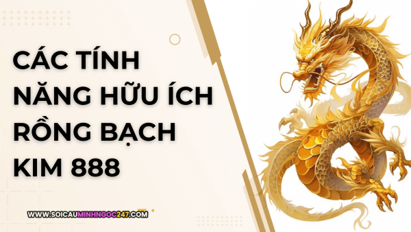Rồng bạch kim 888 cung cấp gì cho lô thủ