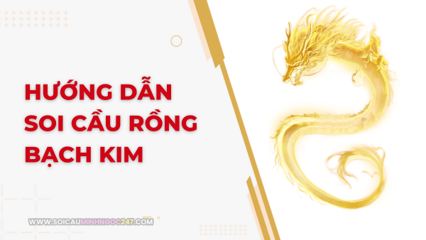 Hướng dẫn soi cầu rồng bạch kim từ lô thủ