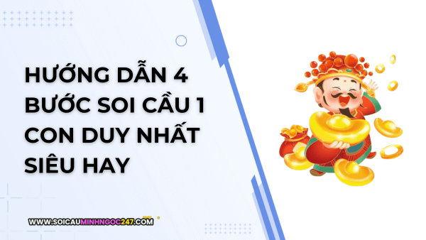 Hướng dẫn 4 bước soi cầu 1 con
