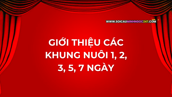 Giới thiệu các khung nuôi 1, 2, 3, 5, 7 ngày